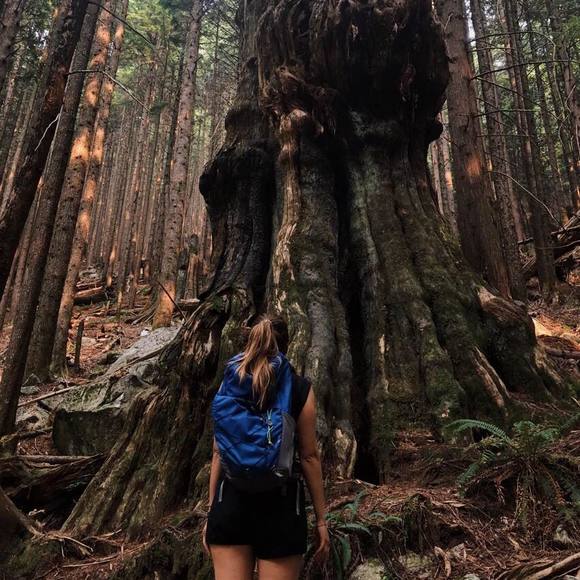 Meet your Posher, Jess - Picture 1 of 1